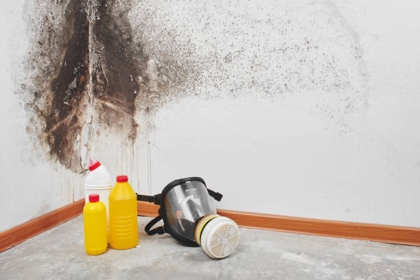 Best Emergency water damage restoration  in Han, GA